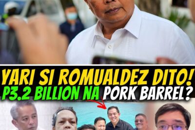 EXPLOSIVE REVELATION: Congressman Leviste Unveils the Secret ‘Cabral Files’ and the Truth Behind the P3.2 Billion Pork Barrel Scandal!