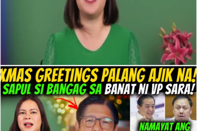 Pahiya si Ajik sa Banat ni VP Sara? Romualdez at Zaldy Co, Umano’y “Nangayayat” Matapos Mawalan ng Pork Barrel