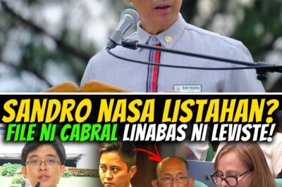 LANTARANG PAMUMULITIKA AT MISTERYONG BUMABALOT SA PONDO NG BAYAN: ANG PAGKAWALA NI USEC. CABRAL AT ANG BILYON-BILYONG INSERTIONS SA DPWH