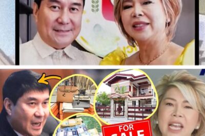 IDOL RAFFY AT JOCELYN, HIWALAY NA? ₱1B ARI-ARIAN IBINIBENTA UMANO DAHIL SA ‘THIRD PARTY’ AT MATINDING ALITAN