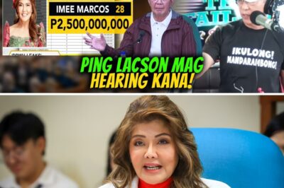 BISTADO! P2.5 Bilyong ‘Wishlist’ ni Imee Marcos at Iba Pang Senador, Nabunyag sa DPWH Leaks!