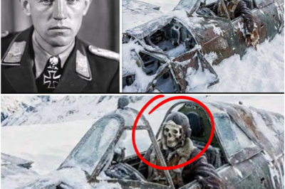 Naglaho Noong Bisperas ng Pasko 1943: Misteryosong German Pilot, Natagpuan Pagkalipas ng 81 Taon