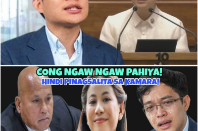 Levisto Binanatan: “Nganga!” Hindi Nakapag-Privilege Speech sa 8B at Carbal Files, Pekeng Balita Umugong