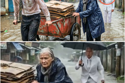 Binatang Mahirap Tumulong sa Matandang Babae sa Baha—Nagpahiya at Lumuluhod ang CEO