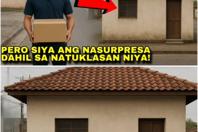 Nagkunwaring Delivery Boy ang OFW Para Sorpresahin ang Asawa—Ngunit Isang Katotohanang Wasak ang Umantig sa Kanyang Pag-uwi