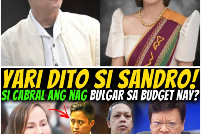 Isiniwalat ba ni Cabral ang Umano’y Isyu sa Budget ni Sandro Marcos? Sen. Marcoleta, Sinopla ang Abogado ni Madriaga sa Mainit na Pagdinig