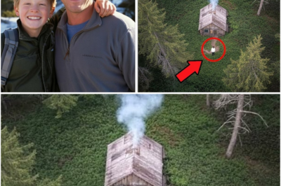 Ama at Anak Nawalang Bigla sa Sierra Nevada—18 Taon ang Lumipas, Isang Nakakakilabot ang Nahuli ng Drone