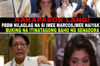 Muling Nayanig ang Politika sa Pilipinas: Imee Marcos Nahaharap sa Matinding Hamon Matapos ang Hindi Inasahang Testigo ni Vince Dizon at Pananahimik ng Malacañang