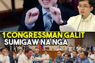 Galit, Pagkadismaya at Bilyong Piso: Congressman Leviste Sumabog sa Plenaryo, Ibinunyag ang Sistematikong Korupsyon sa DPWH at Kongreso