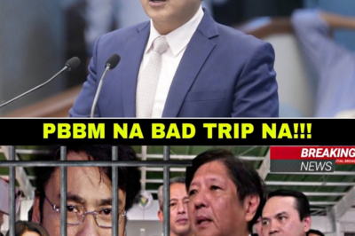 PBBM Nagpahayag ng Paninindigan: Malalaking Opisyal at Contractor Kinasuhan sa Umano’y Ghost Flood Control Project, Habang Umiinit ang Usapin kina Discaya at Bong Revilla