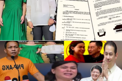 Bagong Testigo Lumantad: Dating Security Aide Nagbunyag ng Mabibigat na Paratang laban kay VP Sara Duterte