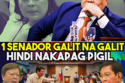 Isang Senador Nagliyab sa Galit, Fake News Tinira, Bilyong Pondo Sinita—Mga Isyung Umiinit sa Senado