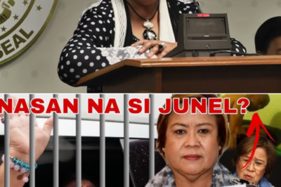 Mula Piitan Hanggang Pagbabalik: Ang Tahimik na Buhay ni Leila de Lima Matapos ang mga Kontrobersiya