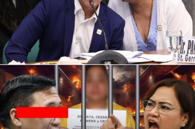 Ang Umano’y Tunay na Backer sa Likod ng mga Proyekto: Mga Alegasyon, Joint Ventures, at Tanong na Hindi na Maiiwasan