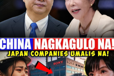 Tahimik na Pag-alis, Malakas na Lindol: Bakit Umaatras ang Japan at Taiwan Companies sa China