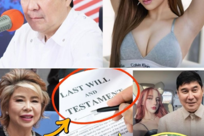Kumakalat na Balita sa Social Media: 50% Ari-arian ni Sen. Raffy Tulfo Mapupunta kay Chelsea Elor? Alin ang Totoo at Fake News?