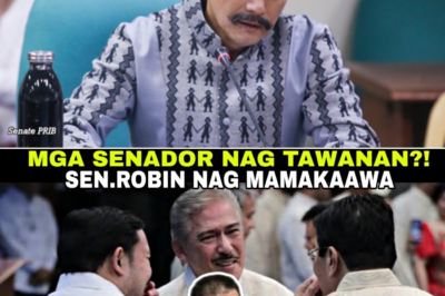 Panawagan ni Sen. Robin Padilla na Isara ang Senado at Kamara, Umugong sa Gitna ng Mga Isyu sa Imbestigasyon