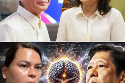 Mga Lihim na Plano at Nabigong Destabilisasyon: Paano Umano Nabigo ang Maagang Tangka na Pabagsakin si Pangulong Marcos Jr.