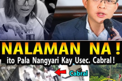 Misteryo at Kontrobersya: Cabral Files, Pagkawala ni Katy Cabral, at ang Patuloy na Imbestigasyon sa Pondo ng Gobyerno