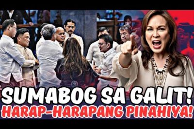 YOU WON’T BELIEVE THE SHOCKING EXPLOSION THAT JUST ROCKED THE SENATE AS TOP OFFICIALS CLASH OVER A MYSTERIOUSLY VANISHED BILLION-PESO PROJECT!