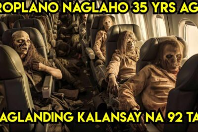 MISTERYO SA HIMPAPAWID: Eroplanong Naglaho, Muling Nagpakita Makalipas ang 35 Taon? Ang Nakakagimbal na Sikreto sa Loob ng Flight JL50 na Yumanig sa Mundo ng Aviation!