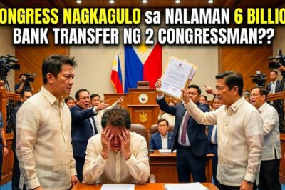 MALAKING SCANDAL TO! IBINUNYAG NG AMLC ang 6 BILLION FUND TRANSFER sa 2 CONGRESSMAN?!!?!