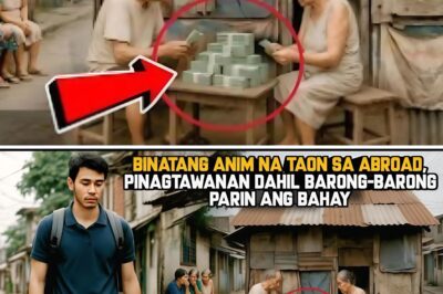 BINATANG ANIM NA TAON NA SA ABROAD, PINAGTAWANAN DAHIL BARONG-BARONG PARIN ANG BAHAYTAMEME MGA…